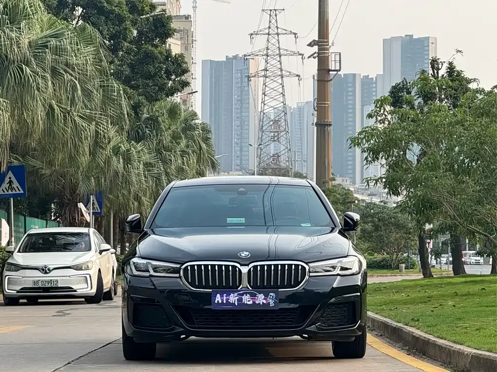 BMW 5 Series 2024 из CN, фото 4