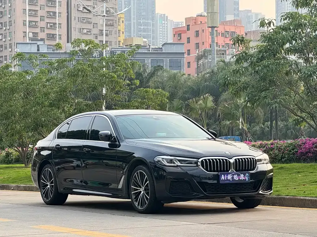 BMW 5 Series 2024 из CN, фото 6