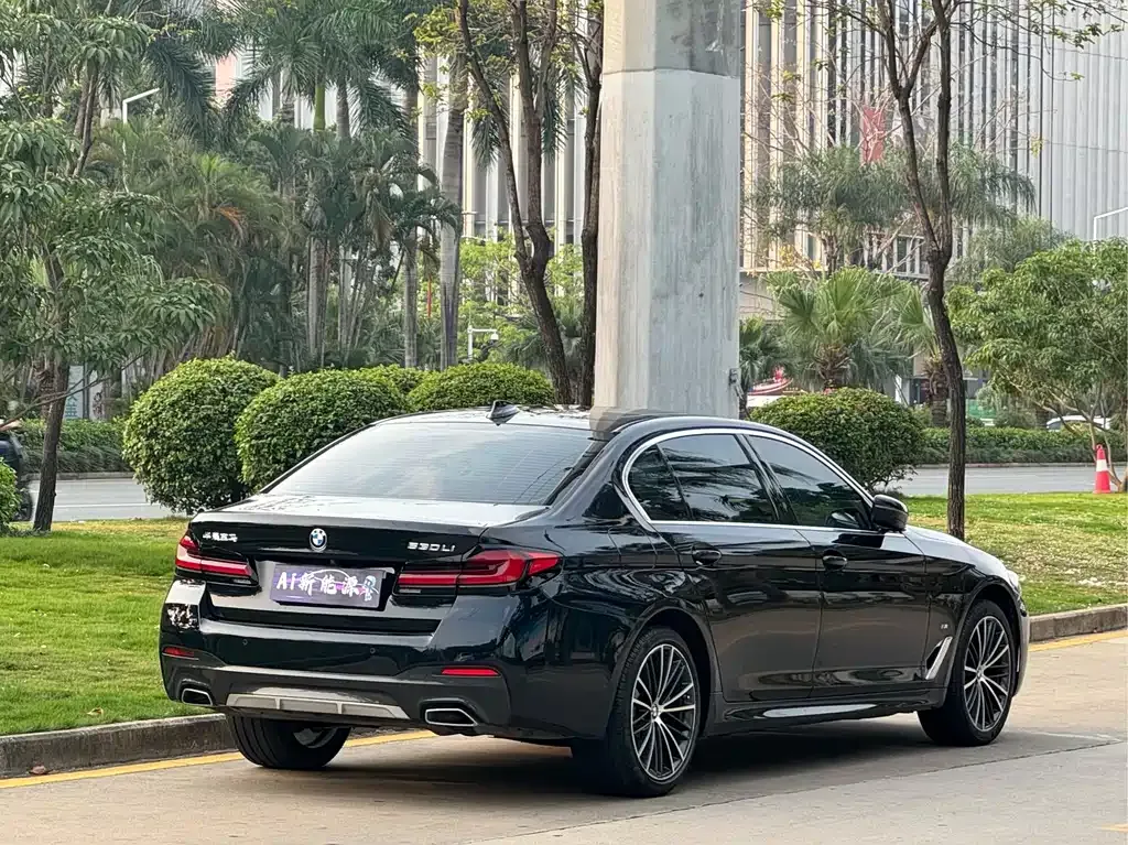 BMW 5 Series 2024 из CN, фото 10
