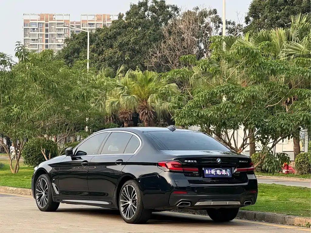 BMW 5 Series 2024 из CN, фото 8