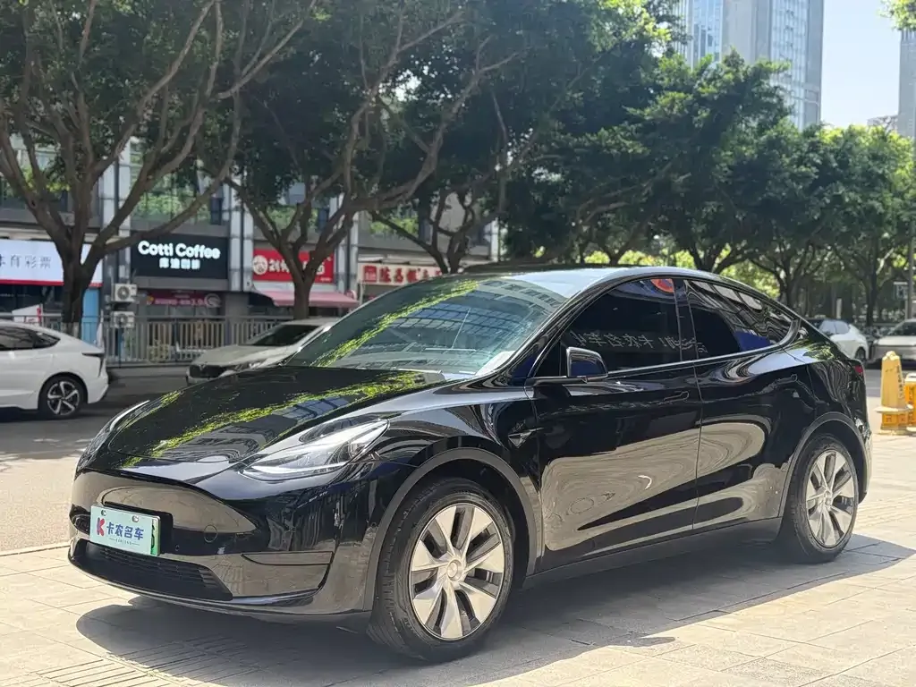 Tesla Model Y 2023 из CN, фото 7