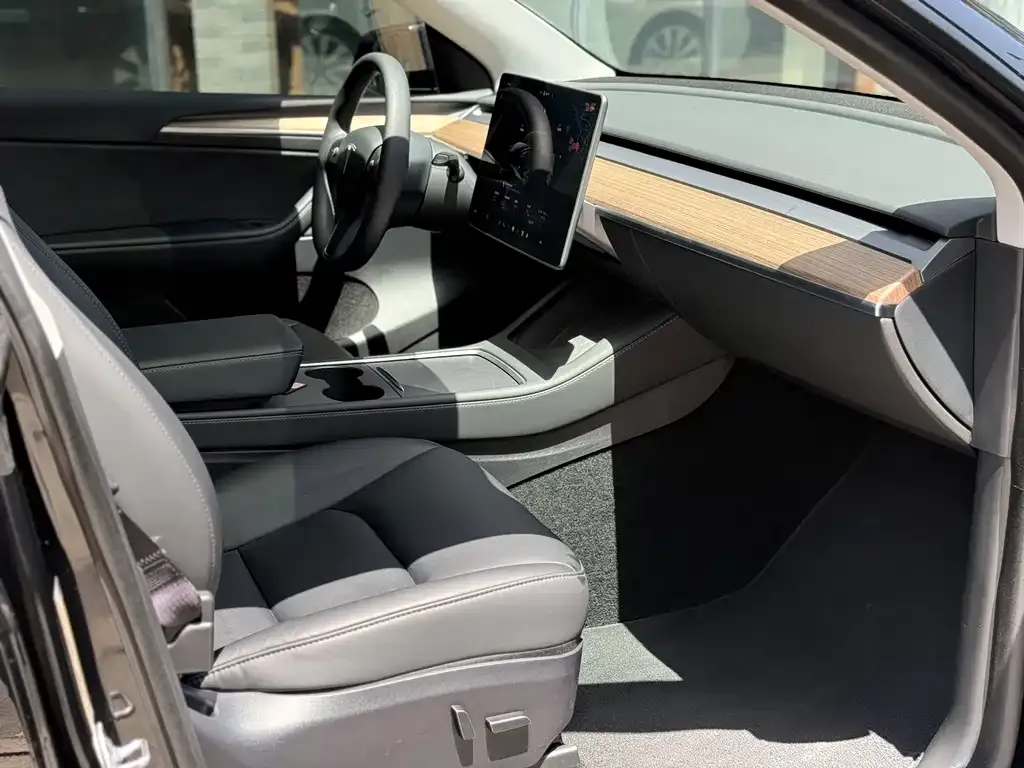 Tesla Model Y 2023 из CN, фото 4