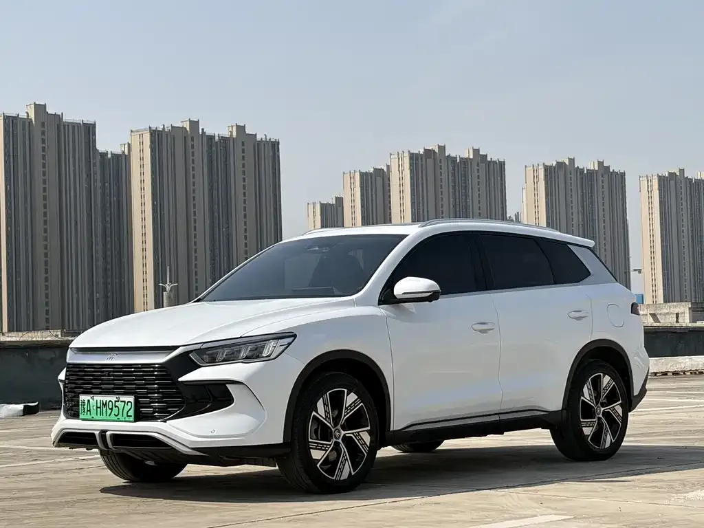 BYD Pro New Energy — фото 1