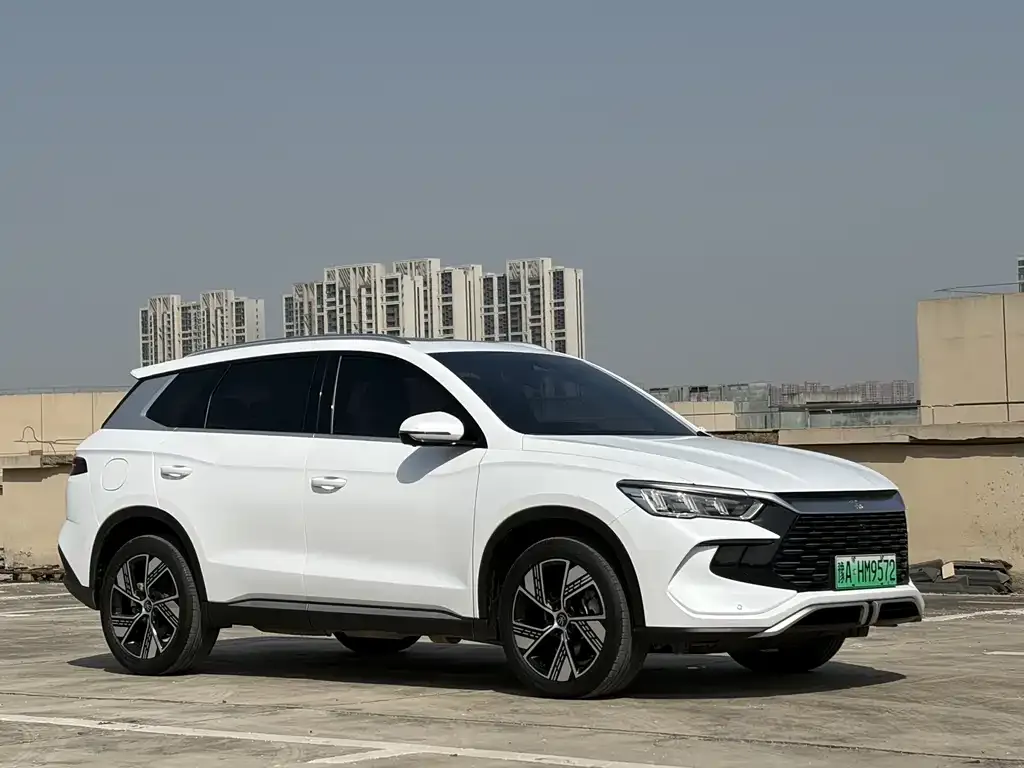 BYD Pro New Energy — фото 4