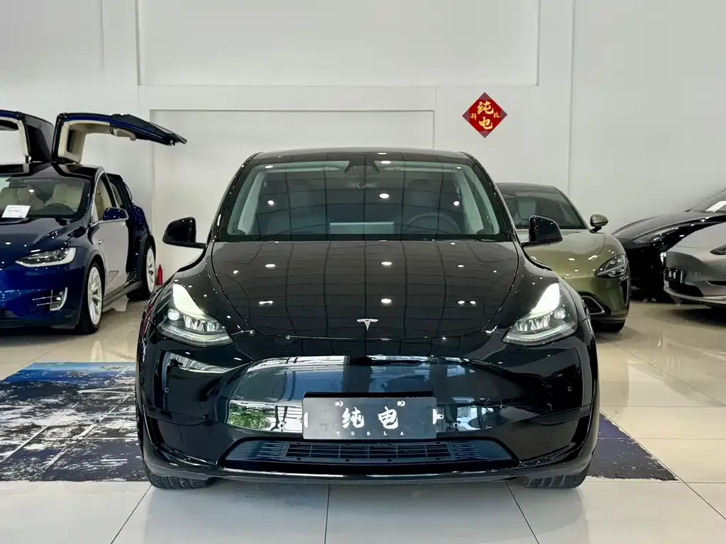 Tesla Model Y 2023 из CN, фото 6