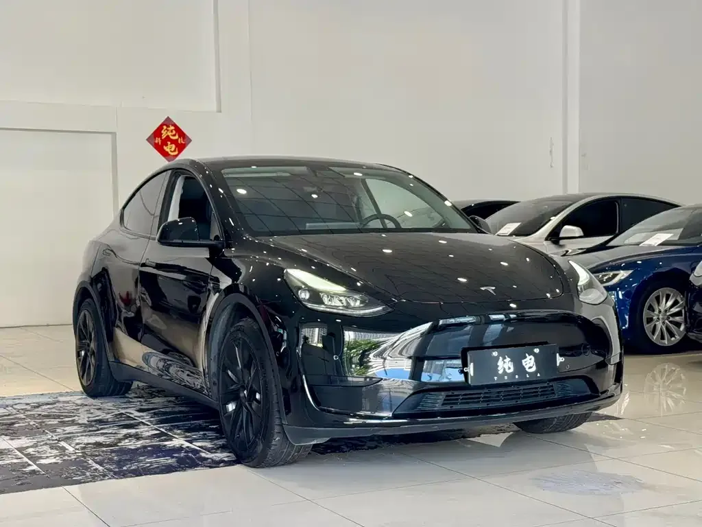 Tesla Model Y 2023 из CN, фото 2
