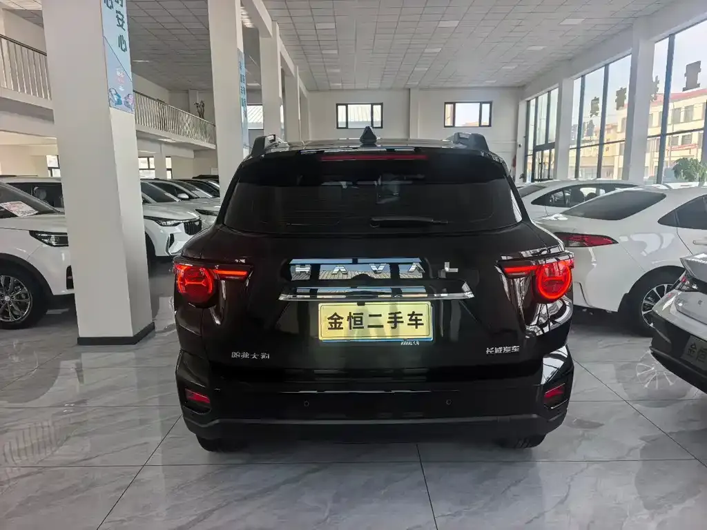 Haval H7 (Big Dog Plus) — фото 8