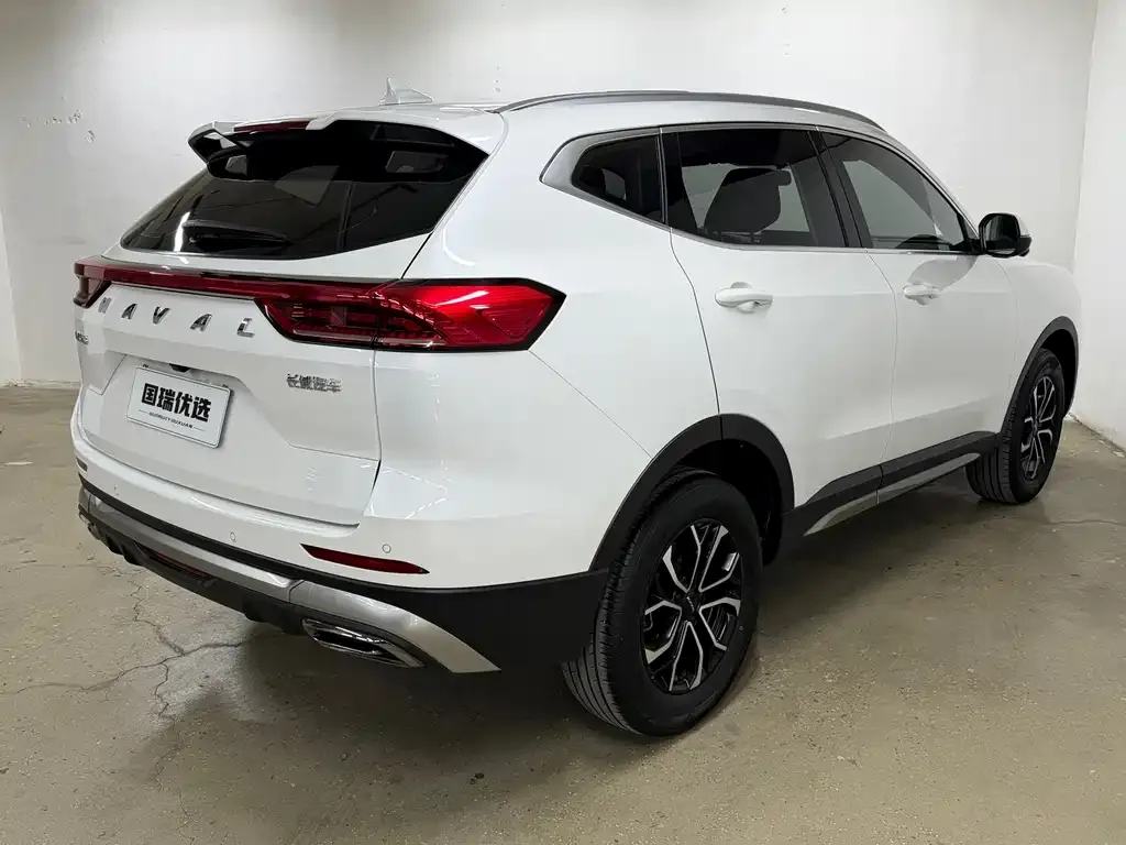 Haval H6 2023 из CN, фото 2