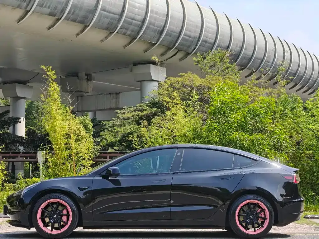 Tesla Model 3 2022 из CN, фото 6
