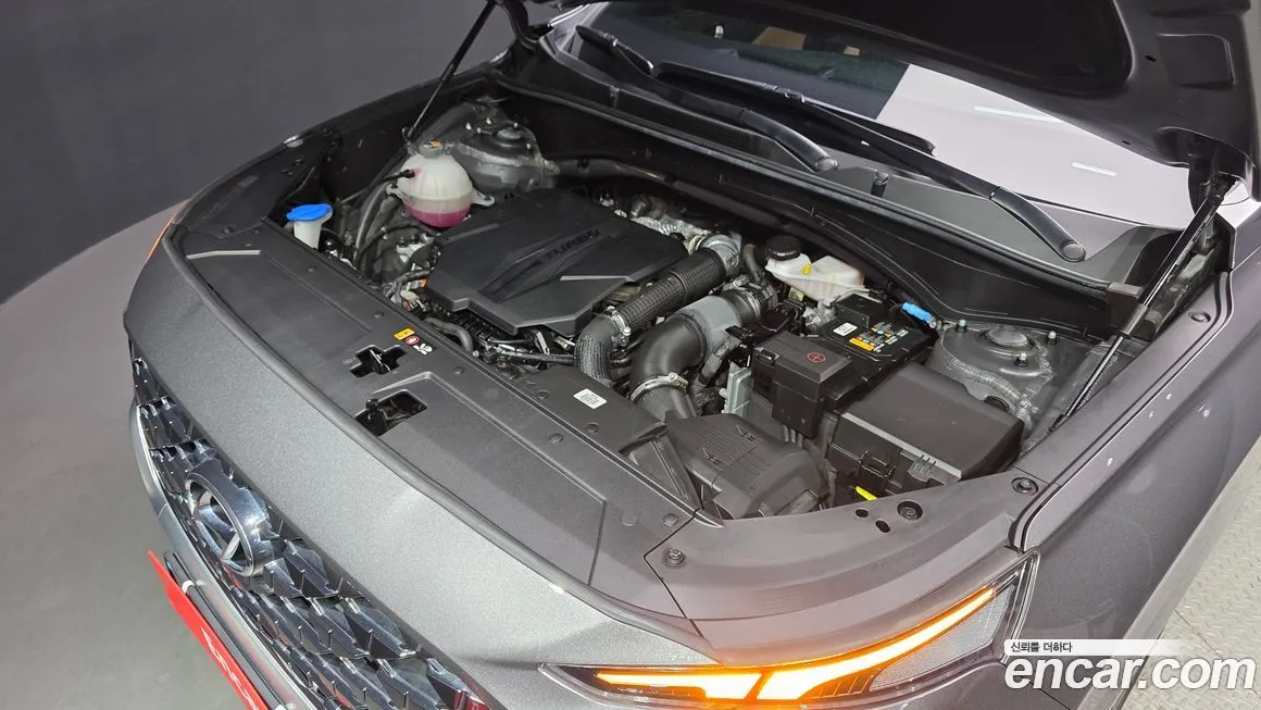 Hyundai Santafe 2021 из KR, фото 9