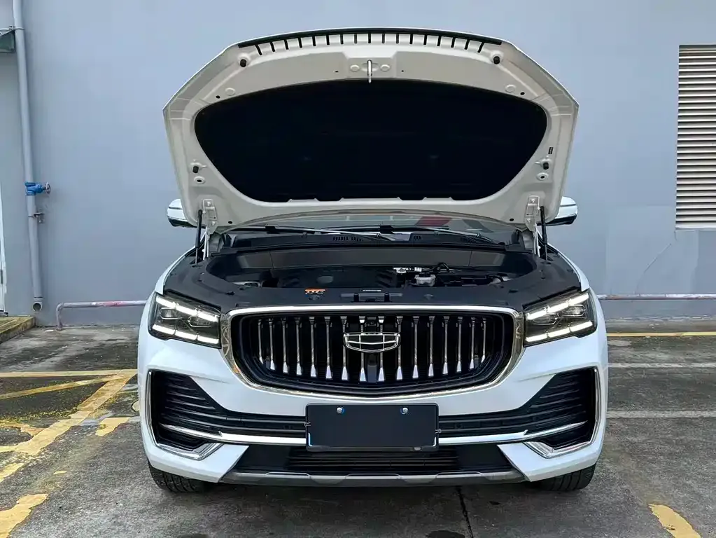 Geely Xingyue L 2022 из CN, фото 9