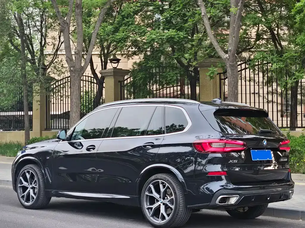 BMW X5 2023 из CN, фото 6