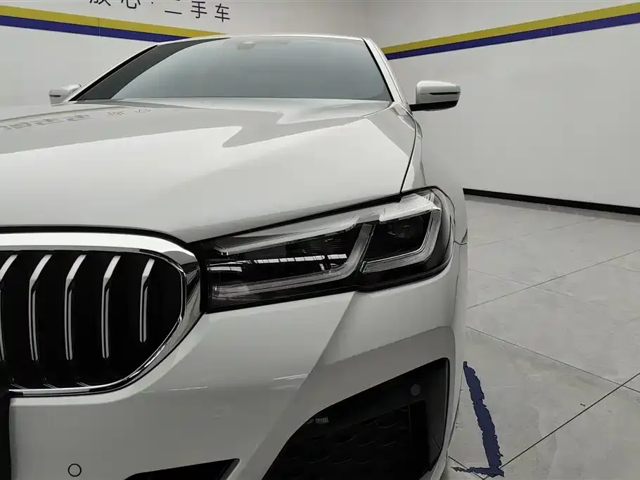 BMW 5 Series 2023 из CN, фото 7
