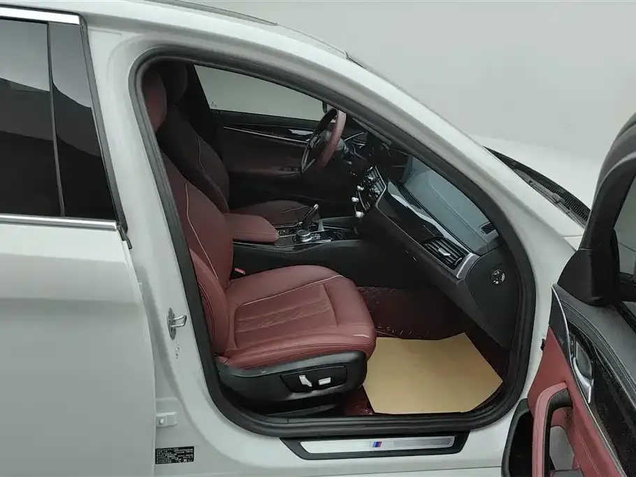 BMW 5 Series 2023 из CN, фото 9