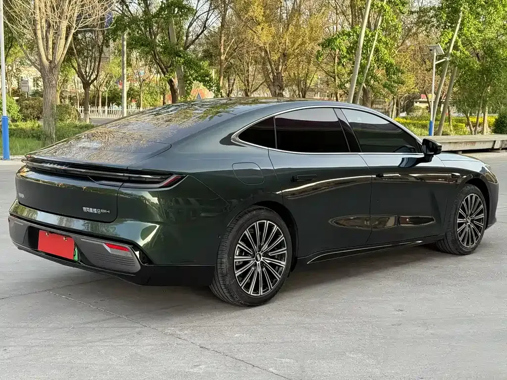 Geely Galaxy Xingyao 8 2025 из CN, фото 10