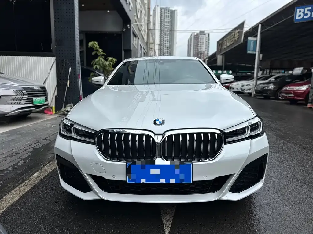 BMW 5 Series 2023 из CN, фото 10