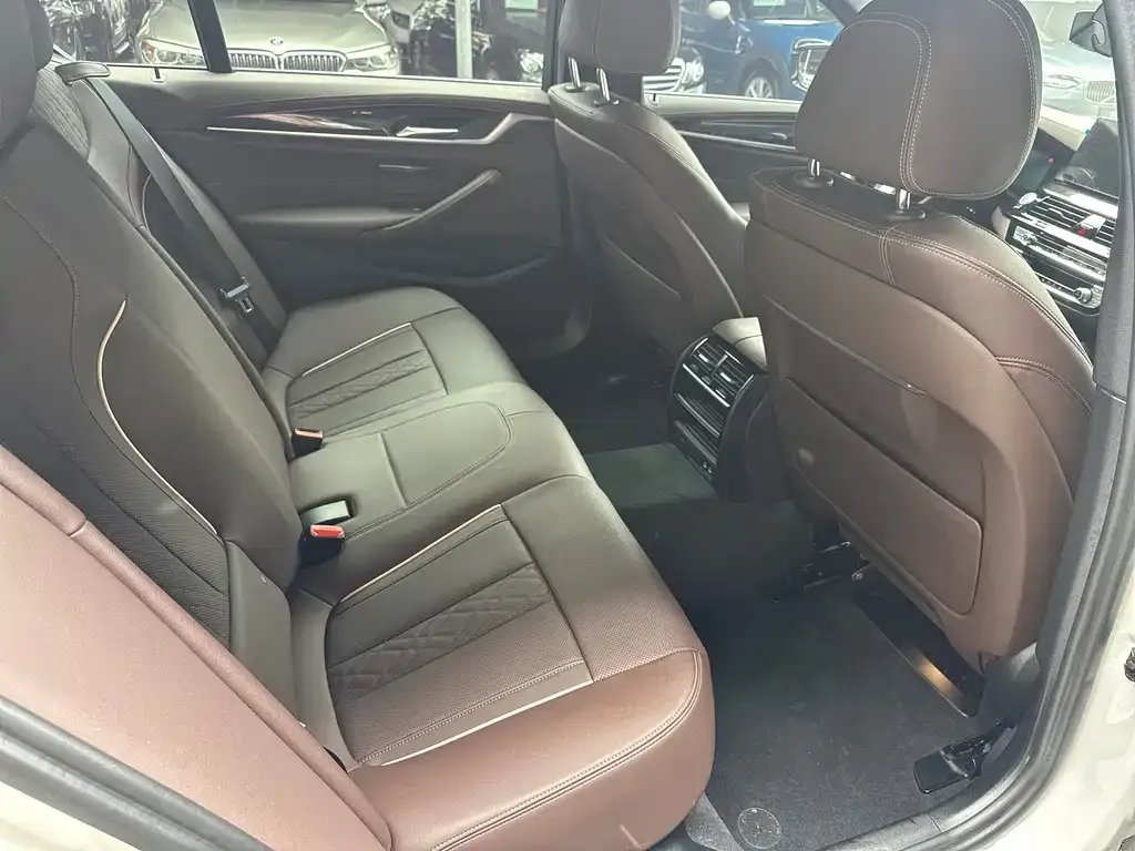 BMW 5 Series 2023 из CN, фото 8