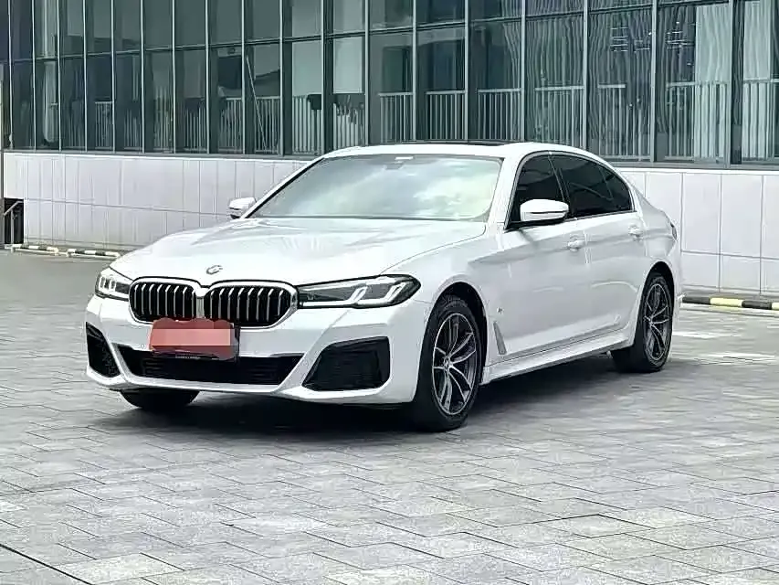 BMW 5 Series 2023 из CN, фото 1