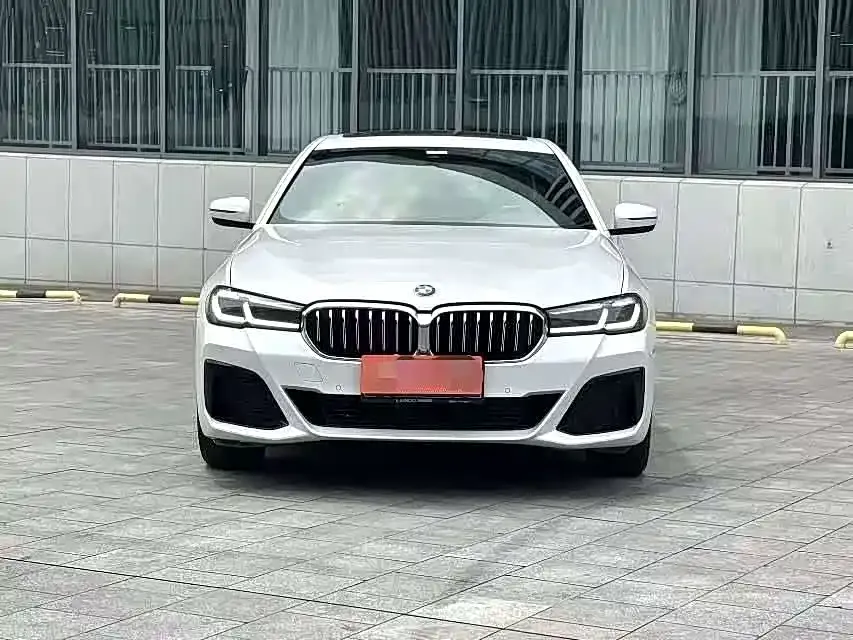 BMW 5 Series 2023 из CN, фото 3