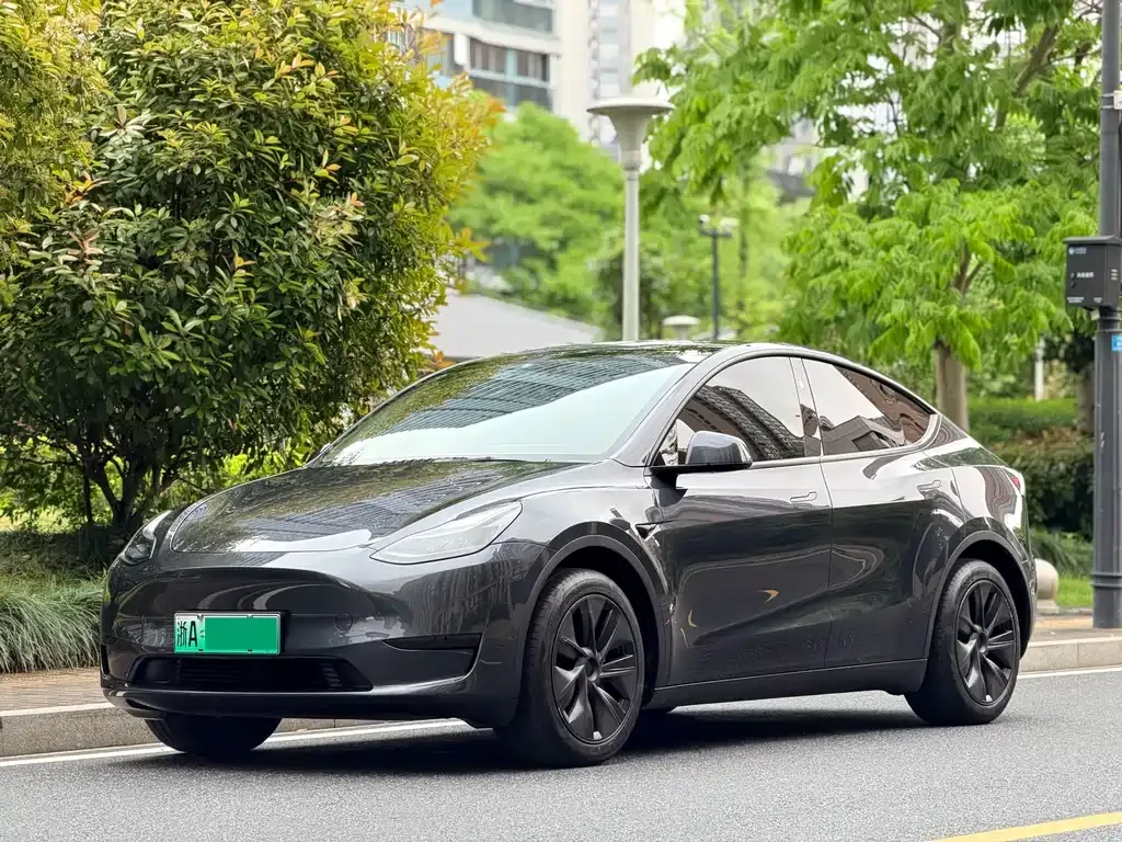 Tesla Model Y 2024 из CN, фото 1