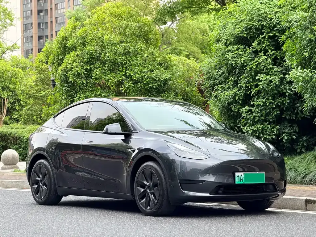 Tesla Model Y 2024 из CN, фото 9