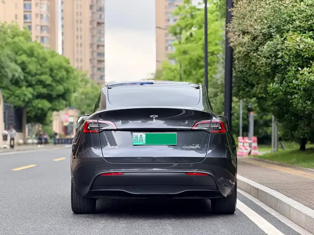 Tesla Model Y 2024 из CN, фото 5