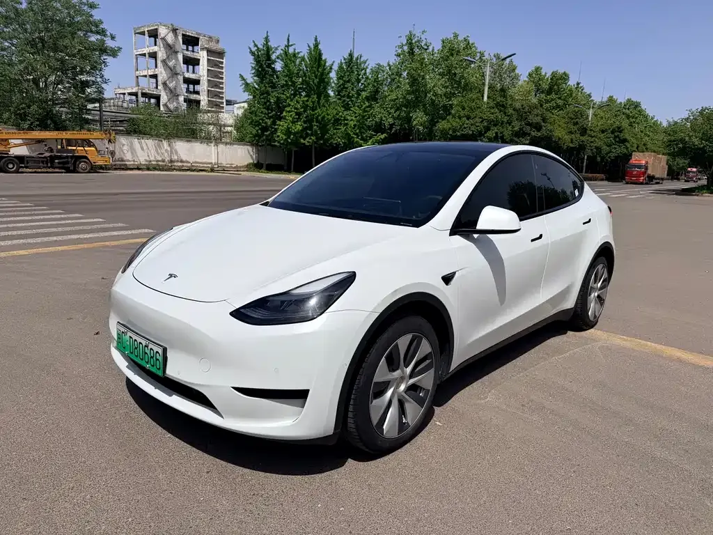Tesla Model Y 2023 из CN, фото 1
