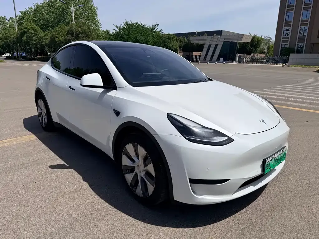 Tesla Model Y 2023 из CN, фото 6