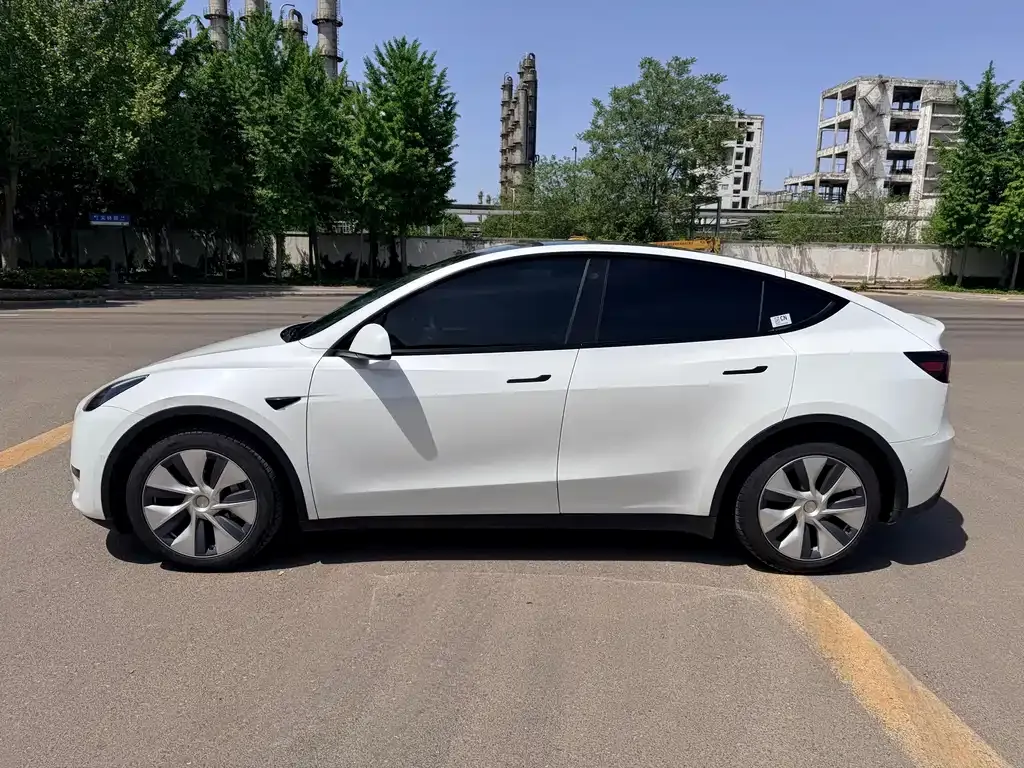 Tesla Model Y 2023 из CN, фото 4