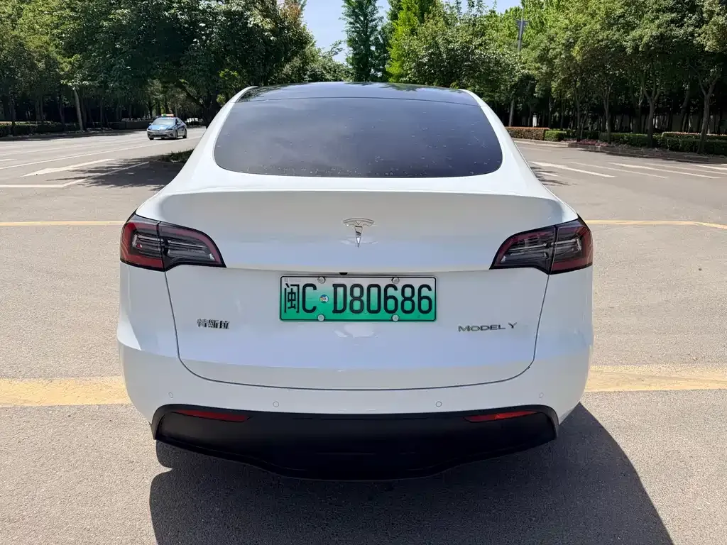Tesla Model Y 2023 из CN, фото 9