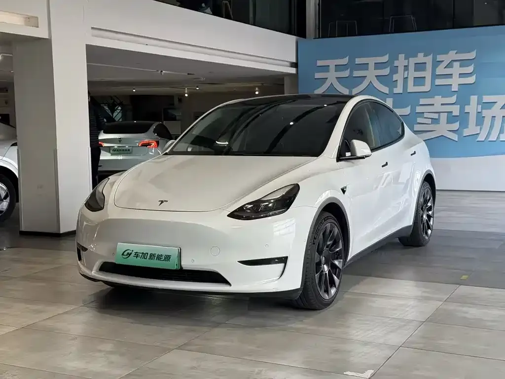 Tesla Model Y 2021 из CN, фото 1