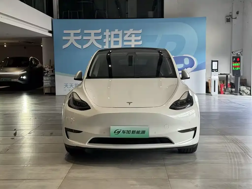 Tesla Model Y 2021 из CN, фото 7