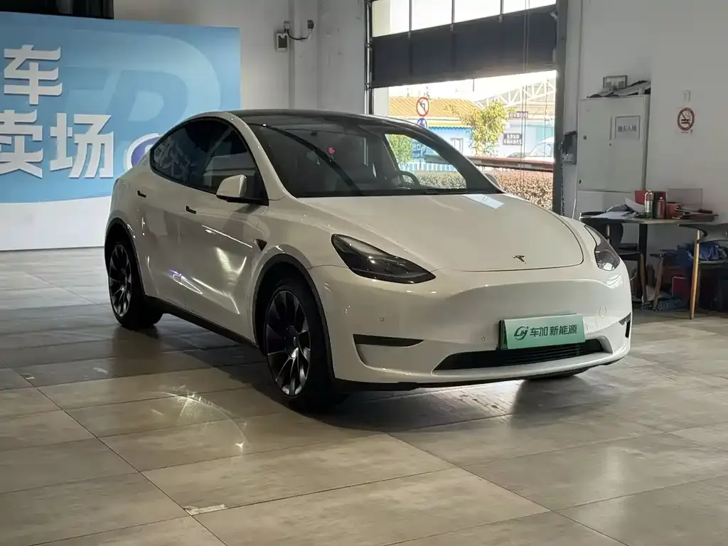 Tesla Model Y 2021 из CN, фото 2