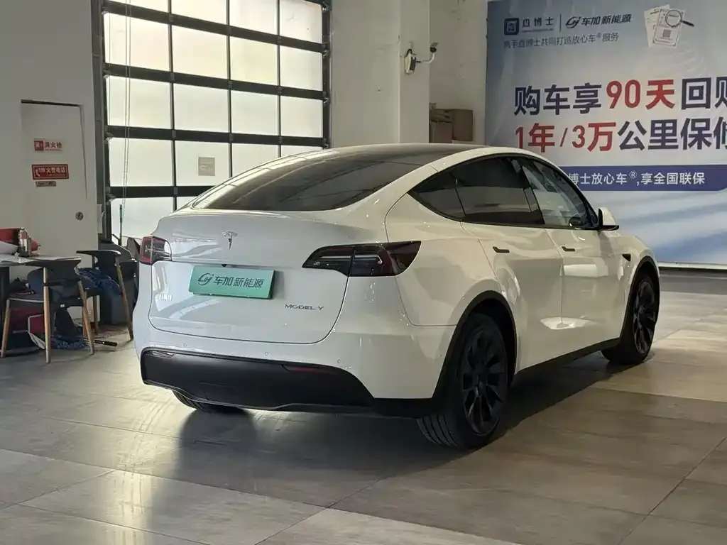 Tesla Model Y 2021 из CN, фото 9