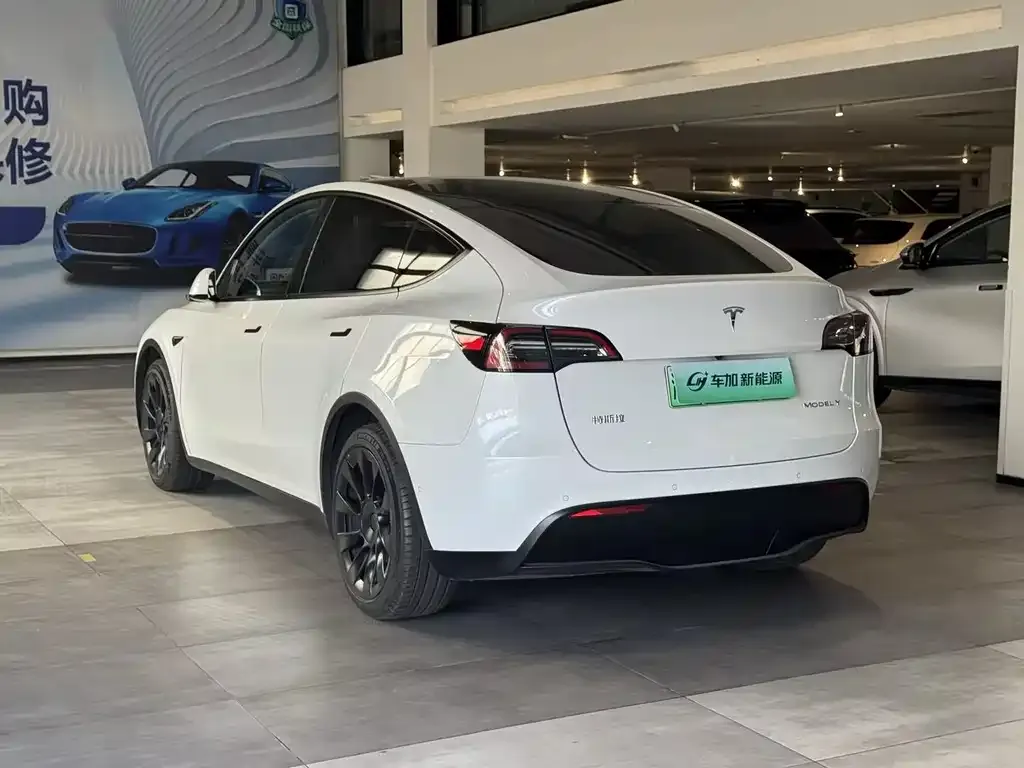 Tesla Model Y 2021 из CN, фото 5