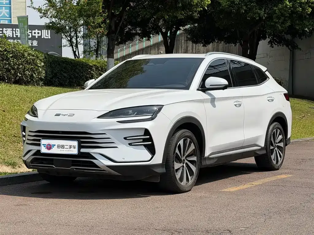 BYD PLUS New Energy 2024 из CN, фото 1