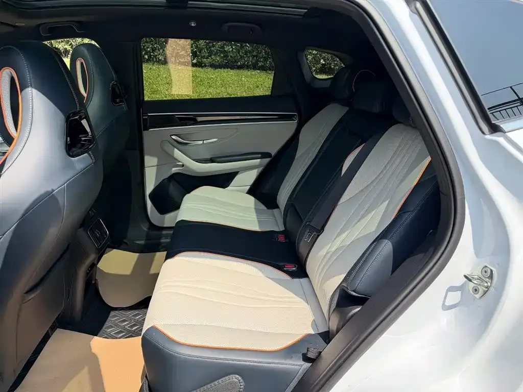 BYD PLUS New Energy 2024 из CN, фото 2