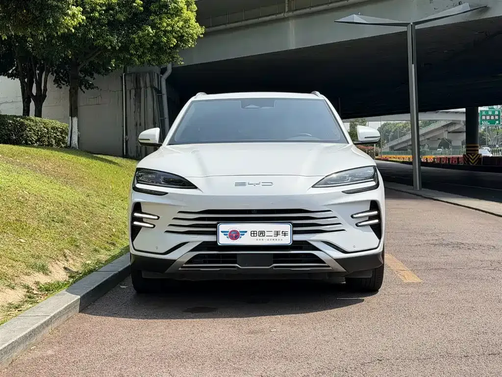 BYD PLUS New Energy 2024 из CN, фото 8