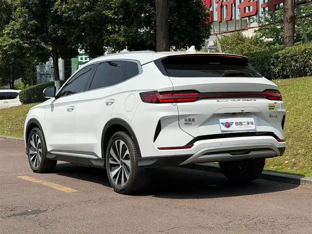 BYD PLUS New Energy 2024 из CN, фото 5