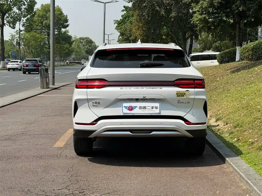 BYD PLUS New Energy 2024 из CN, фото 4