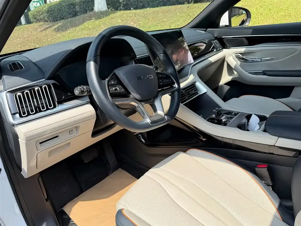 BYD PLUS New Energy 2024 из CN, фото 6