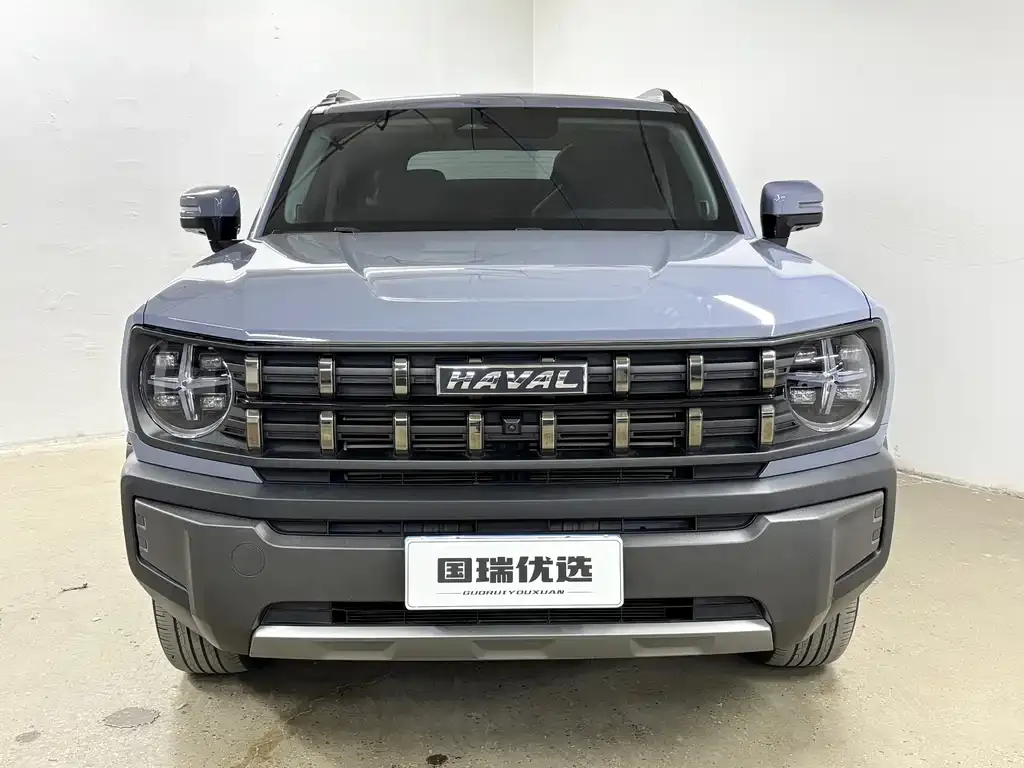 Haval Cool Dog — фото 8