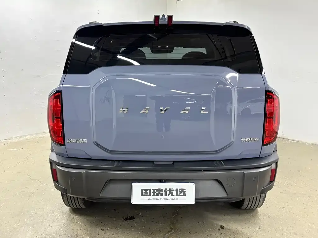 Haval Cool Dog — фото 4