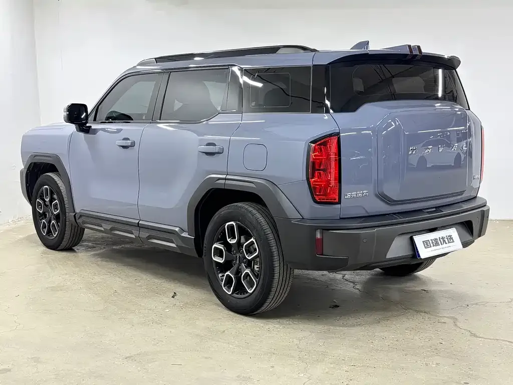 Haval Cool Dog — фото 10