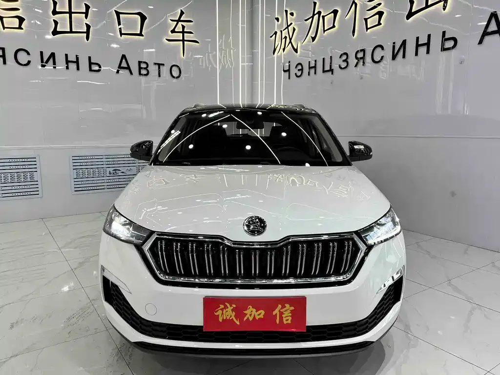 Skoda Kamiq 2023 из CN, фото 8