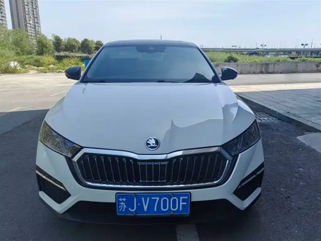 Skoda Octavia 2021 из CN, фото 7