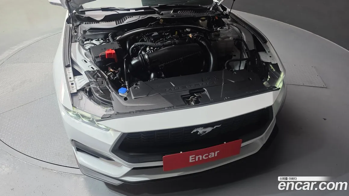 Ford Mustang 2024 из KR, фото 8
