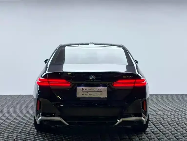 BMW 5 Series 2024 из CN, фото 2