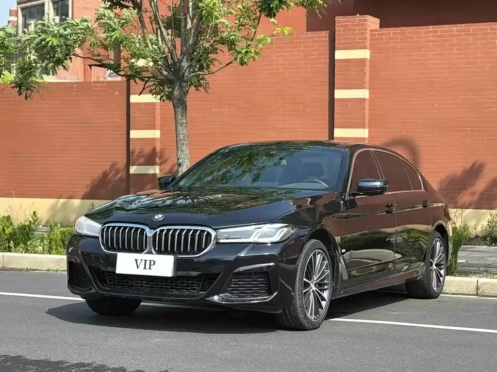 BMW 5 Series 2023 из CN, фото 1