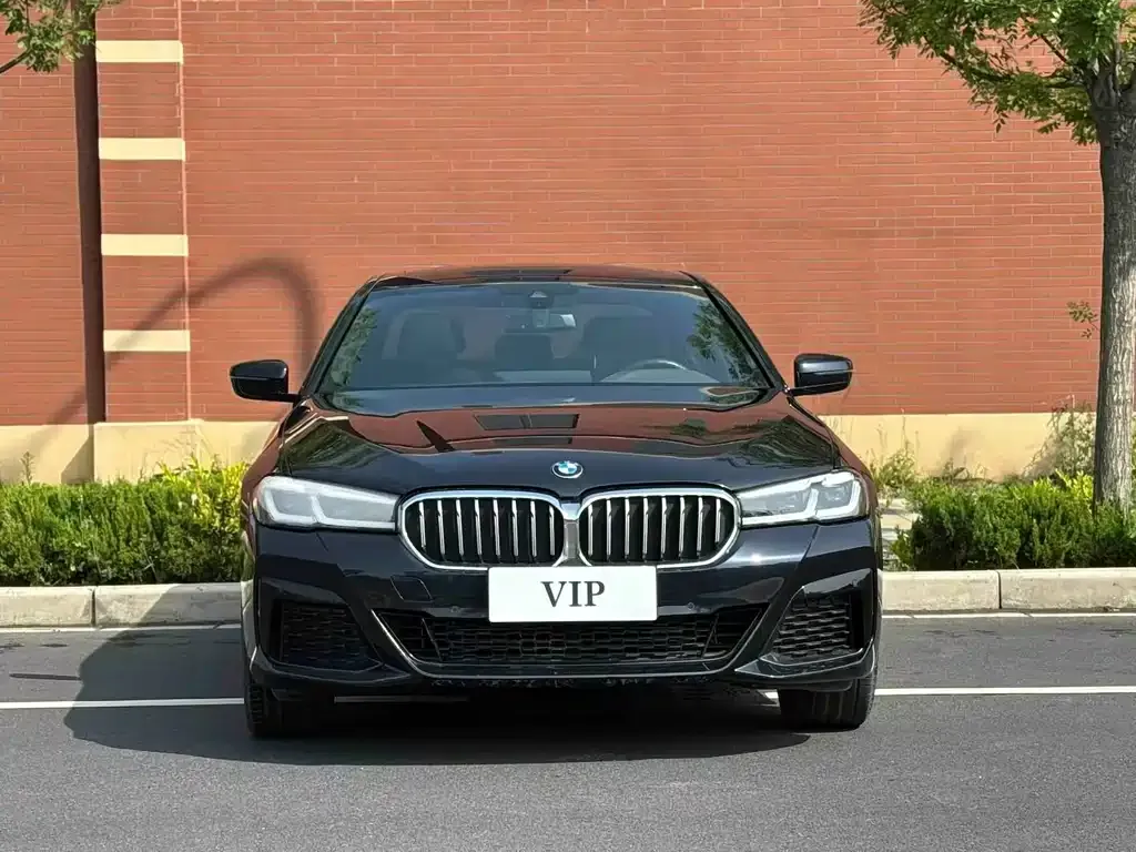 BMW 5 Series 2023 из CN, фото 4